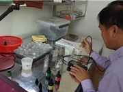 Mô hình nuôi tôm bằng công nghệ RAS